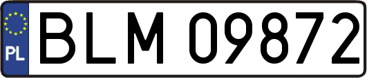 BLM09872