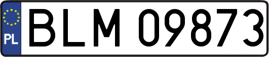 BLM09873
