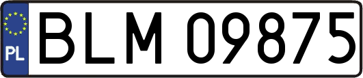 BLM09875