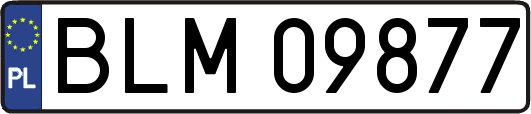 BLM09877
