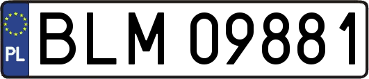BLM09881