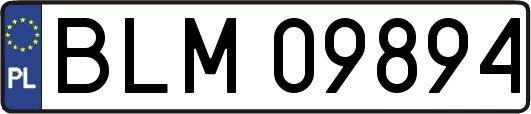 BLM09894