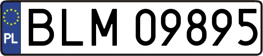 BLM09895