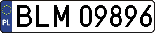 BLM09896