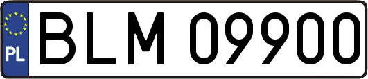 BLM09900