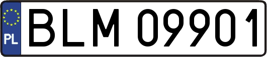 BLM09901