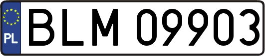 BLM09903