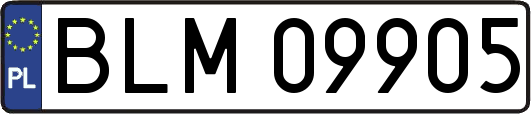 BLM09905