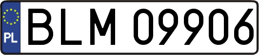 BLM09906