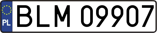 BLM09907