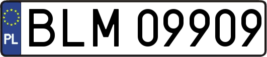 BLM09909