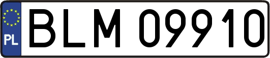 BLM09910