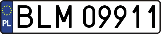 BLM09911