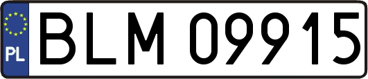 BLM09915