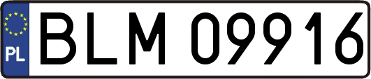 BLM09916