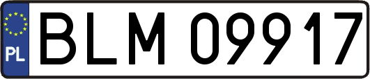 BLM09917