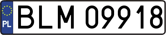 BLM09918
