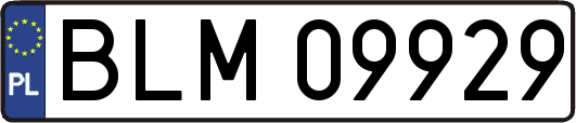 BLM09929