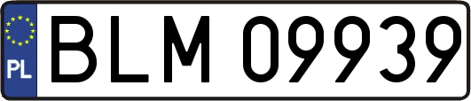 BLM09939