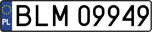 BLM09949