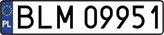 BLM09951