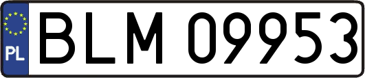 BLM09953