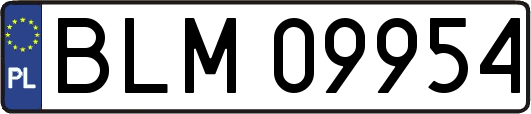 BLM09954