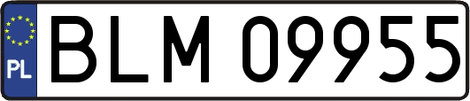 BLM09955