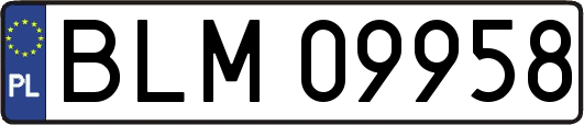 BLM09958