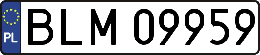 BLM09959