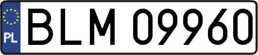 BLM09960