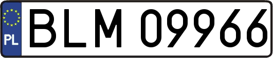 BLM09966