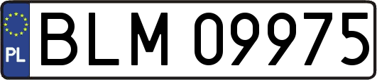 BLM09975