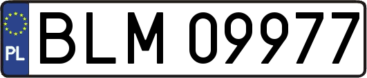 BLM09977