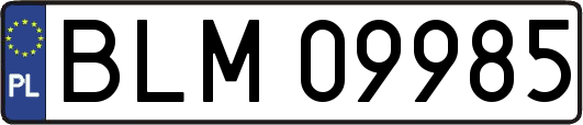 BLM09985