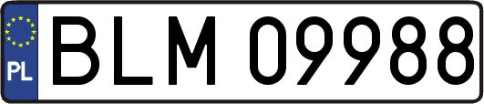 BLM09988