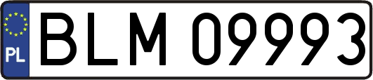 BLM09993