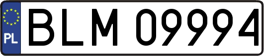 BLM09994