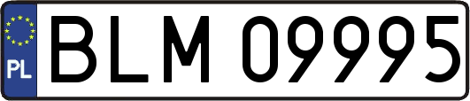 BLM09995