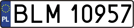 BLM10957