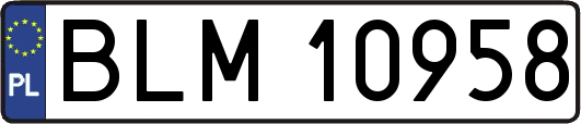 BLM10958
