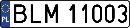 BLM11003