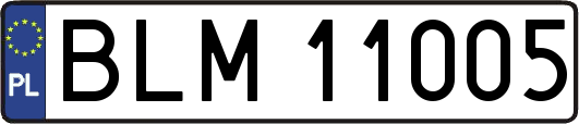 BLM11005