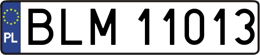 BLM11013