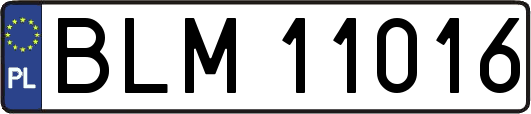BLM11016