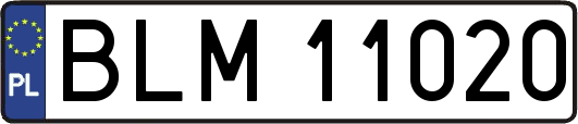 BLM11020