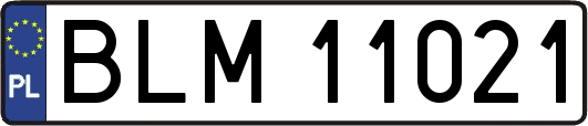 BLM11021