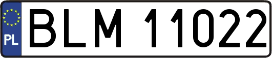 BLM11022