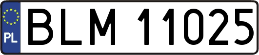 BLM11025