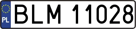 BLM11028